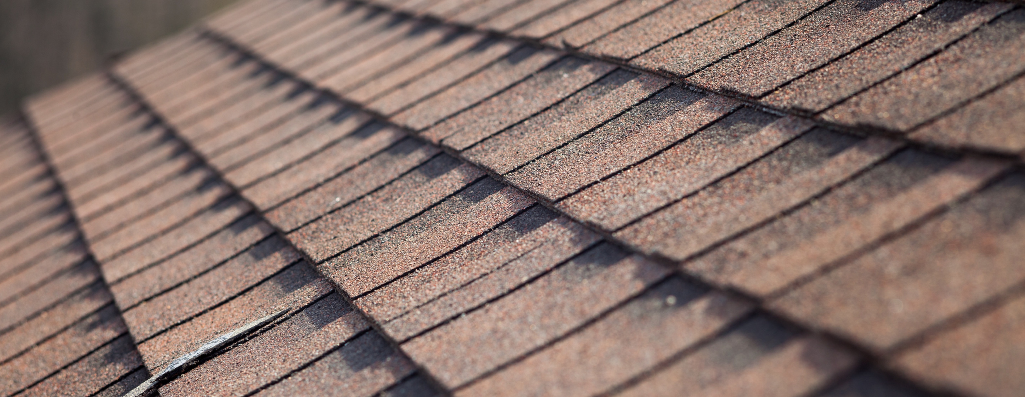 Shingle roofing close-up